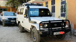 Toyota Land Cruiser 2002 White