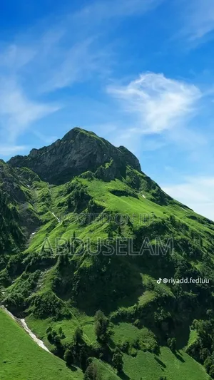 Photo - Yemeni Honey