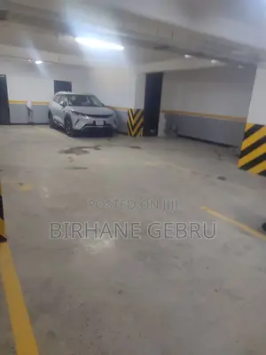 4bdrm Apartment in Luxury Apartument, Lideta for rent