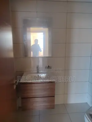 4bdrm Apartment in Luxury Apartument, Lideta for rent