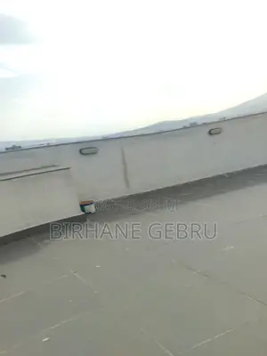 4bdrm Apartment in Luxury Apartiment, Lideta for rent