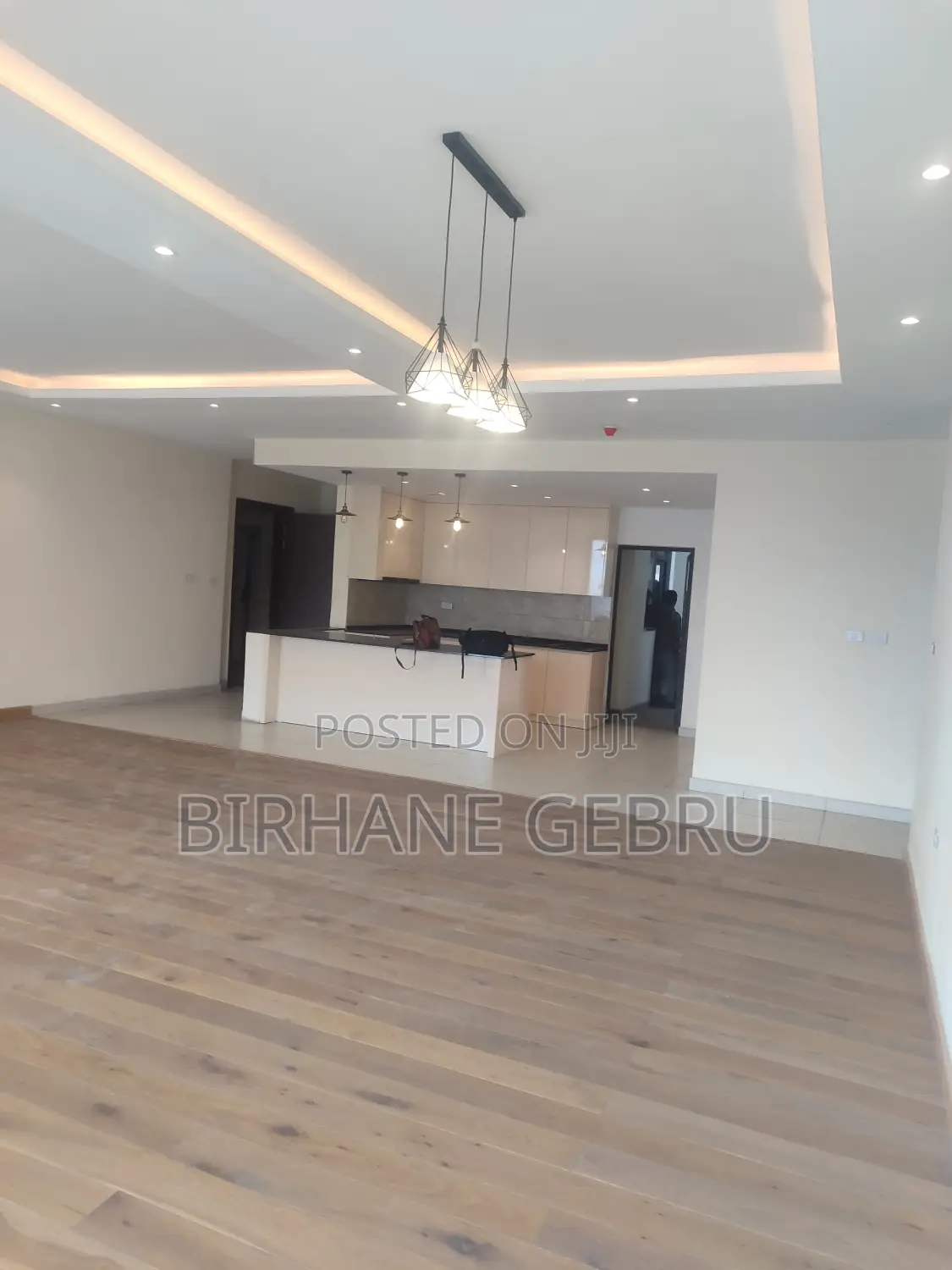 4bdrm Apartment in Luxury Apartiment, Lideta for rent
