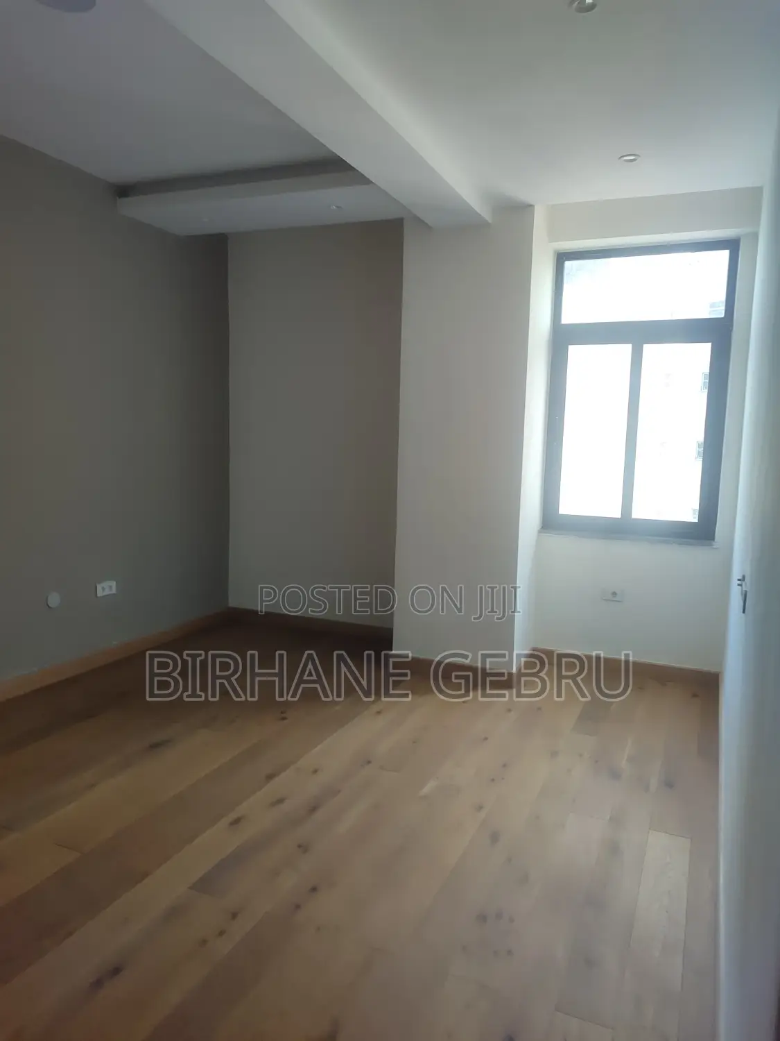 4bdrm Apartment in Luxury Apartiment, Lideta for rent