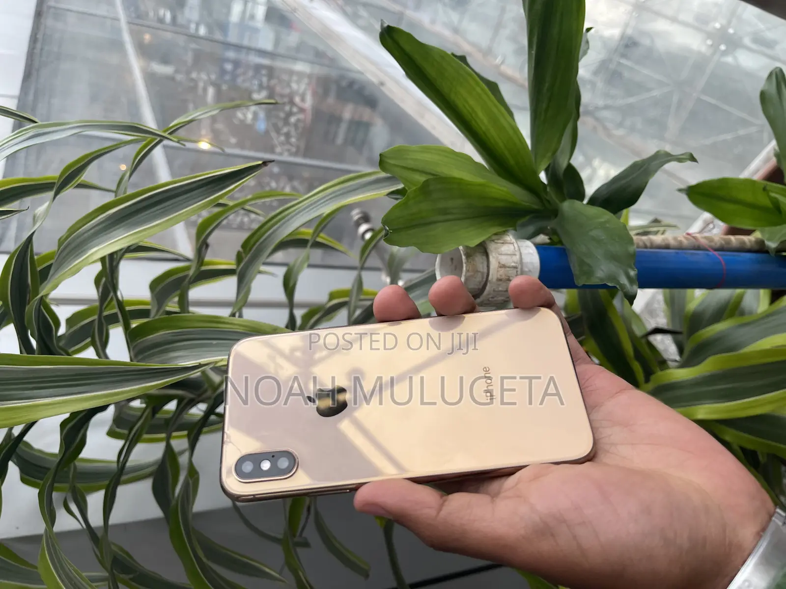 Apple iPhone XS 64 GB Gold