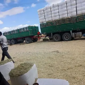 ሲኖ ከነተሳቢው
ሞደል 2016
ታርጋ 87