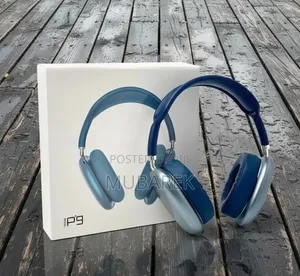 Photo - P9 Sound Quality Headset in Sleek, Modern Silver/Black.