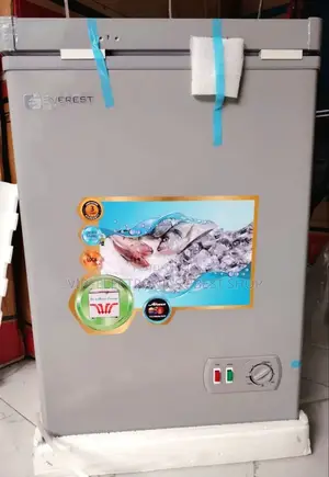 Everest Deep Freezer 170 Mini Chest Refrigerator