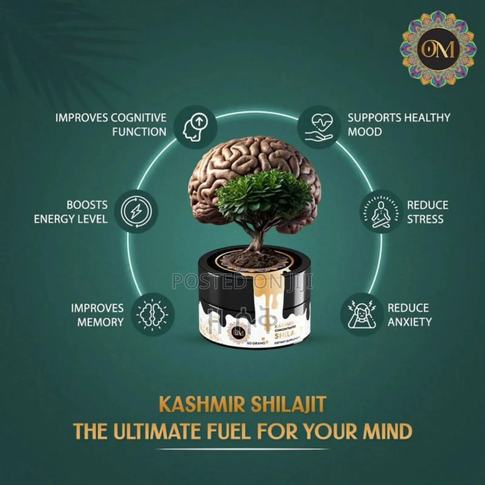 ​ ኦሪጅናል ሺላጂት፡ የቴስቶስትሮን መጠንዎን ከፍ ያድርጉ!