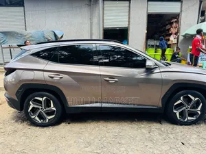 Hyundai Tucson 2022 Brown
