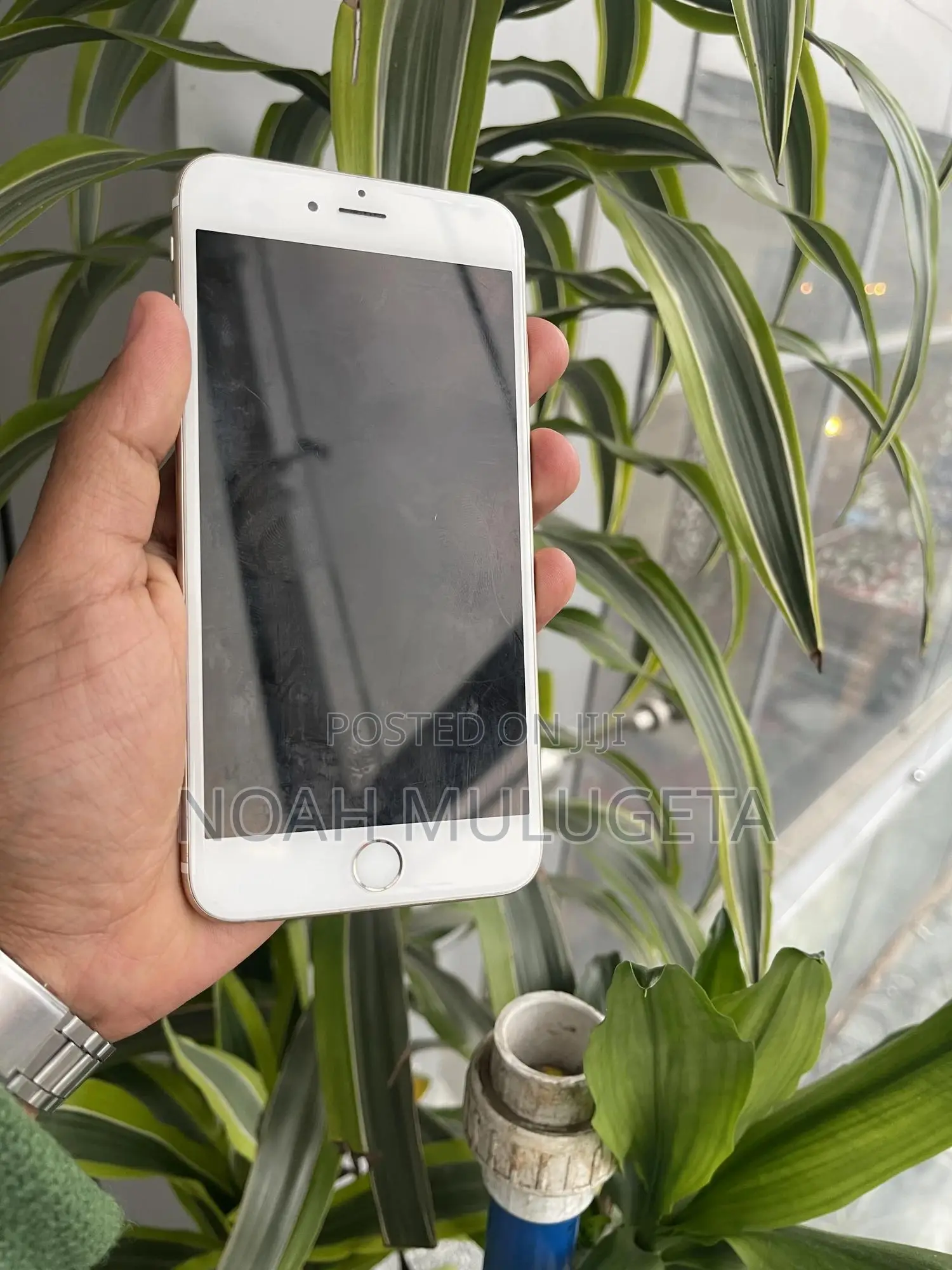 Apple iPhone 6s Plus 64 GB Gold