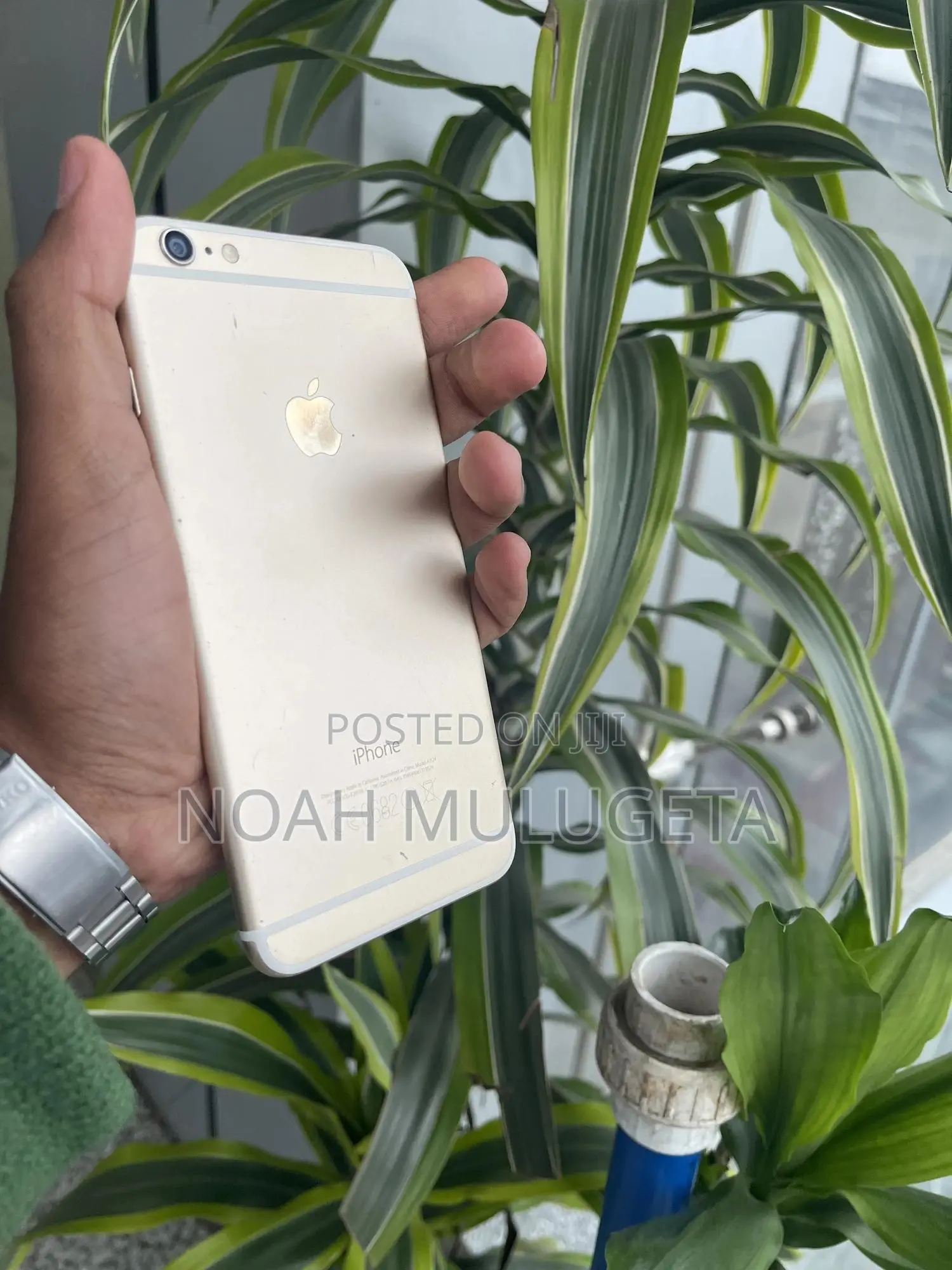 Apple iPhone 6s Plus 64 GB Gold