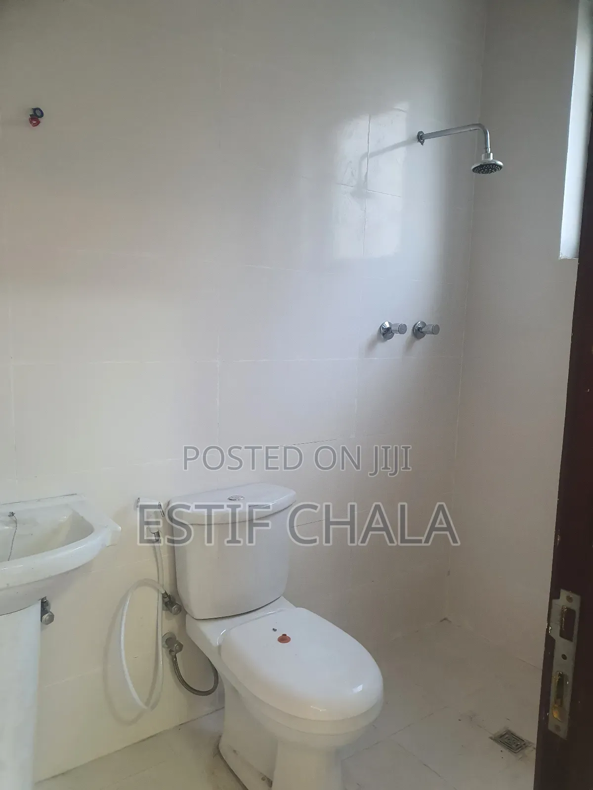 2bdrm Condo in Bole for rent