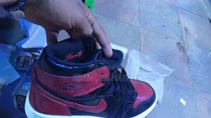 Photo - Jordan 1 Family