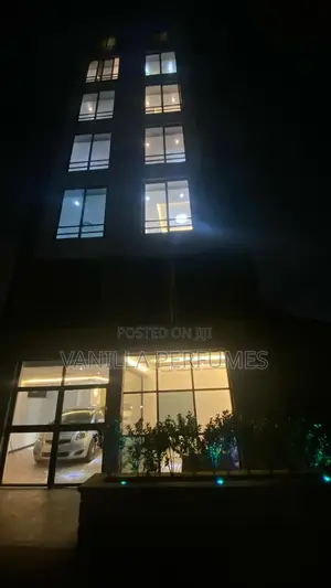 Furnished 2bdrm Apartment in Building Near, Bole for sale