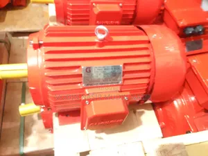 Photo - Elctric Motor