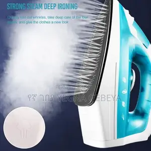 Hometime Ni Ir 234 Super Steaming Iron With Silk Glide Effect (1100w)