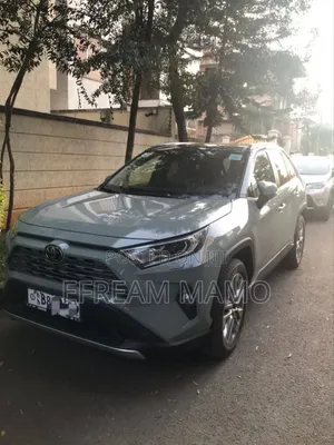Photo - Toyota RAV4 2020 Gray