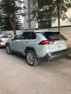 Toyota RAV4 2020 Gray