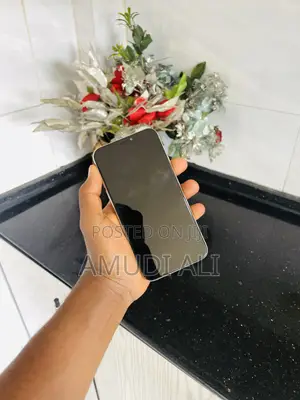 Apple iPhone 13 128 GB White