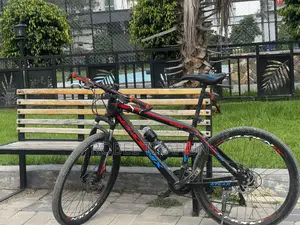 Phoenix Bike Bicycle for Sale