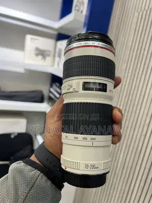 Photo - Zebra Lens 70-200mm