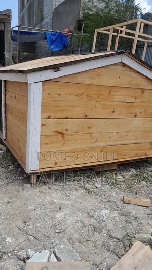 ጥንካሬቸውን የጠበቁ የነ ቡቺ፣ቦቢ ቤቶች