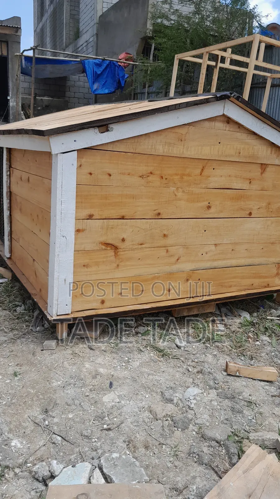 ጥንካሬቸውን የጠበቁ የነ ቡቺ፣ቦቢ ቤቶች