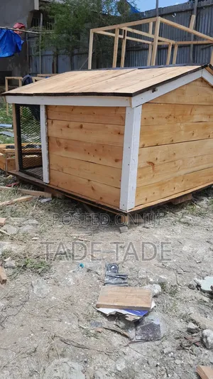 ጥንካሬቸውን የጠበቁ የነ ቡቺ፣ቦቢ ቤቶች