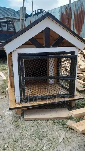 ጥንካሬቸውን የጠበቁ የነ ቡቺ፣ቦቢ ቤቶች