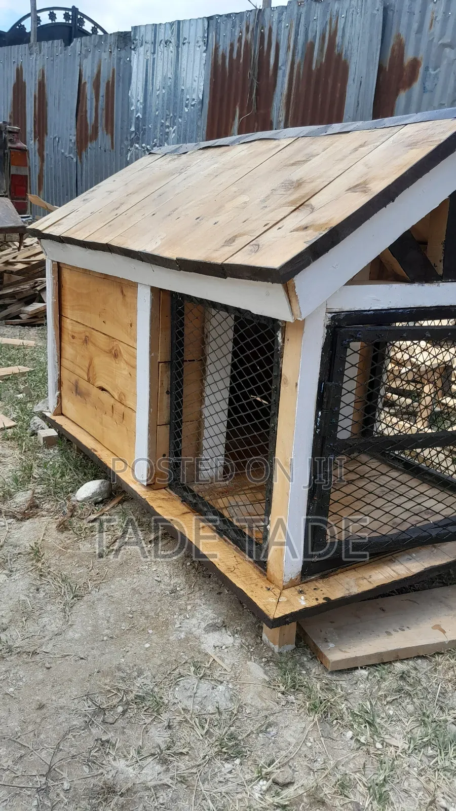 ጥንካሬቸውን የጠበቁ የነ ቡቺ፣ቦቢ ቤቶች