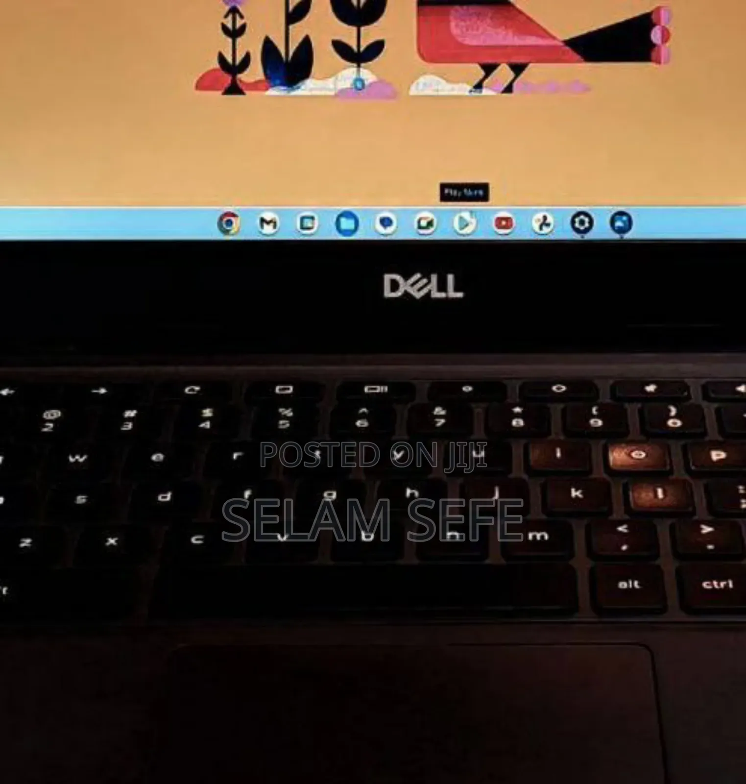 New Laptop Dell Chromebook 11 4GB Intel Celeron SSD 32GB