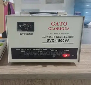 Photo - Meet Gato Glorious – The Star Everyone’S Talking About! ”