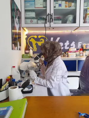 Photo - Animal Clinic