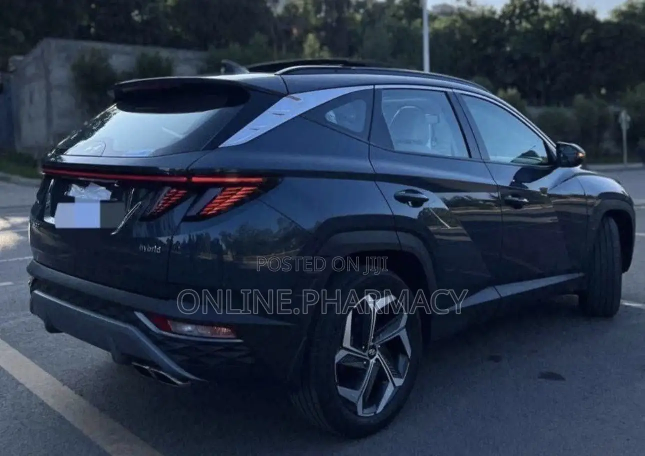 Tucson 2022 for Rent