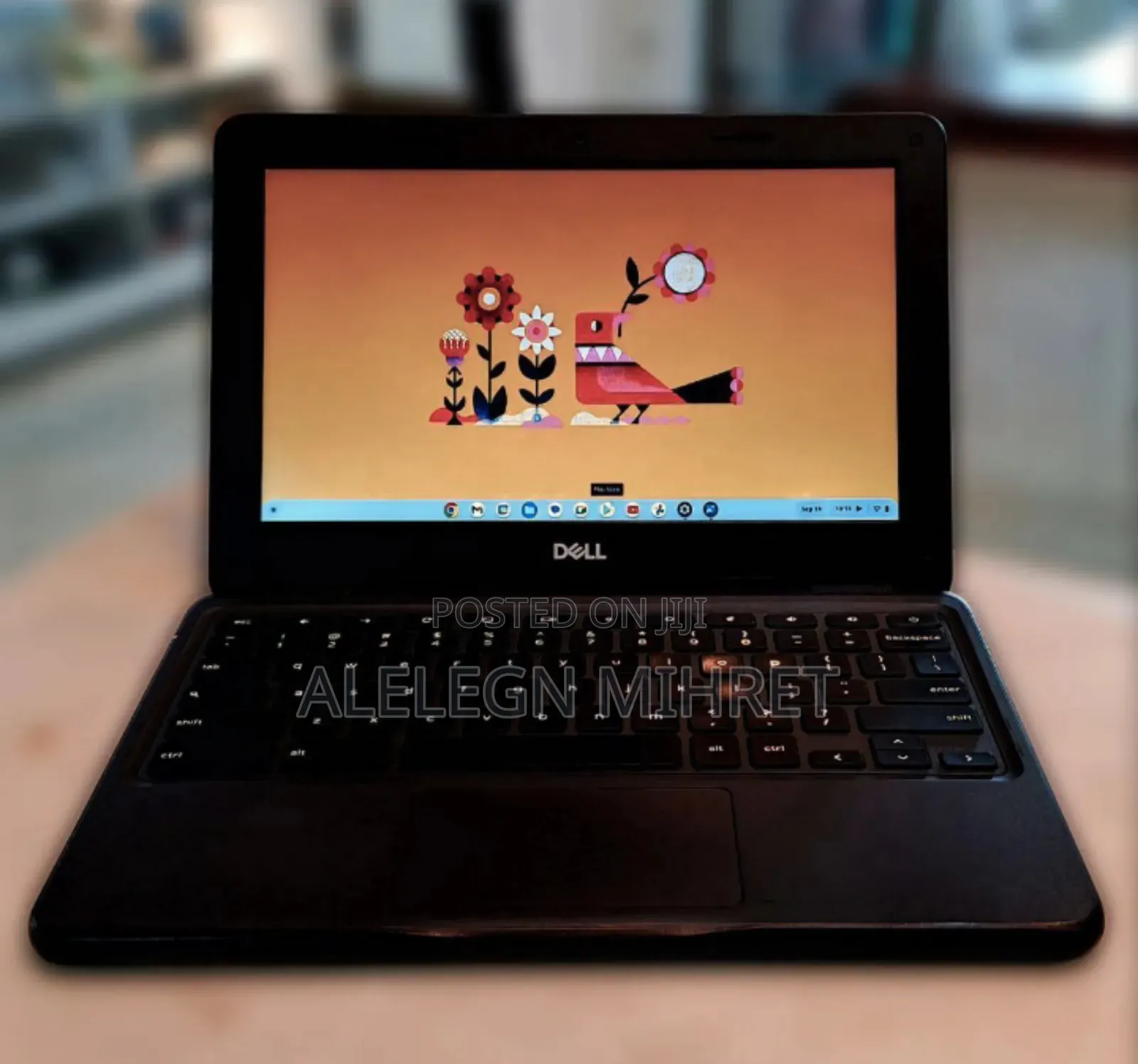 New Laptop Dell Chromebook 11 4GB Intel Celeron SSD 32GB