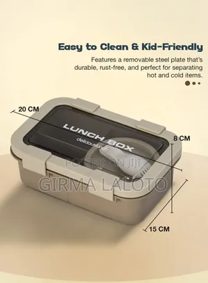 Lunch Box High Quality የራሱ ፓረቲሽን ያለው