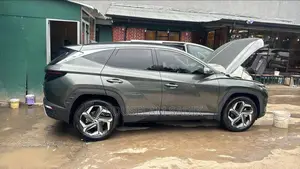 Hyundai Tucson 2024 Beige