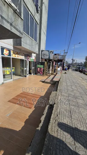 Furnished 2bdrm Apartment in አዲስ አበባ, Bole for rent