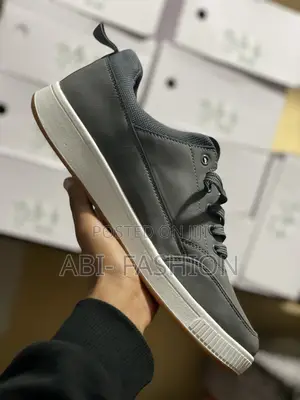 Photo - Cat Original Grey Color