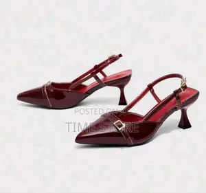 Cuccoo Bizchic Elegant Pointed Toe High Heel Plain Color Pumps