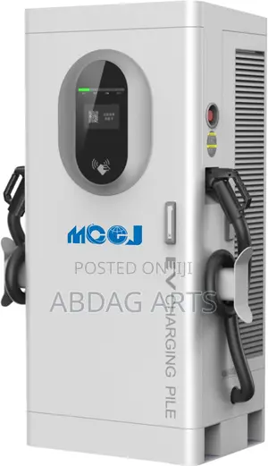 Fast Electric Car Charger / Charging Station in Addis Ababa