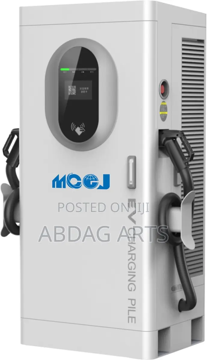 Fast Electric Car Charger / Charging Station in Addis Ababa