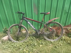 Photo - Geze Becha Yedewll