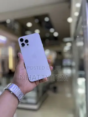 Apple iPhone 12 Pro Max 256 GB Silver