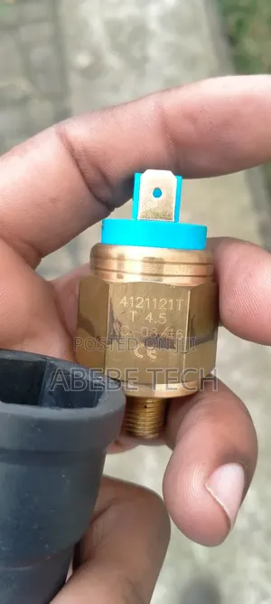 Photo - Euro Pressure Switch