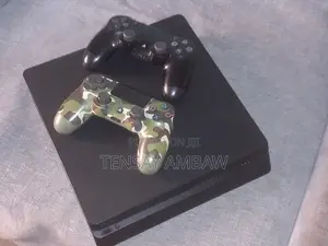 Ps 4 Slim Storage 1t