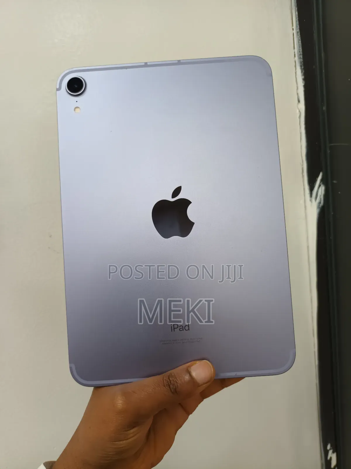 Apple iPad mini 6 256 GB Gray