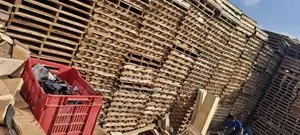 Photo - Pallet Pallet