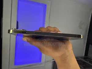 Apple iPhone 13 Pro Max 256 GB Silver