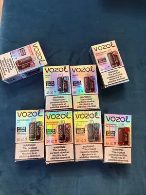 Vozol Vista 20000 Puff